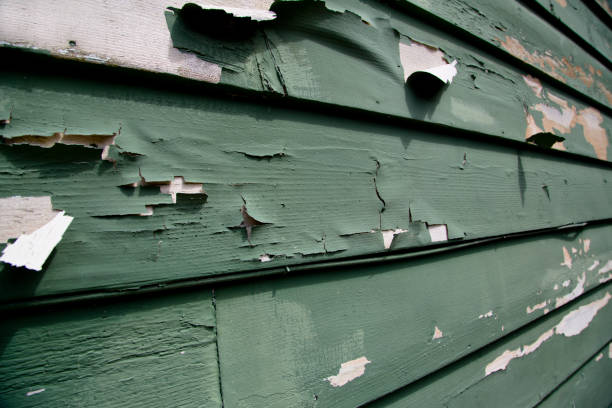 Best Siding Repair  in Weimar, TX